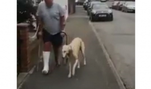 ワンちゃんが異常もないのに足を引きずりながら飼い主と一緒に歩く動画に超感動！！