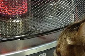 焦げ臭いと思ったら、原因はまさかの...「ストーブ近づきすぎるなって言ったでしょ！」