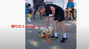 散歩の途中に”家に帰りたくたい”と駄々をこねるワンちゃんが可愛すぎる！！