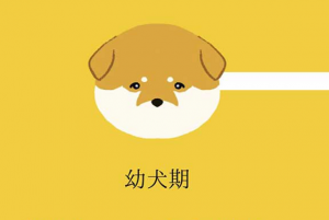 ”犬の成長過程でそれぞれの好きなところ”に超共感！！