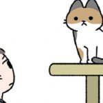 【猫は3年の恩を3日で忘れる】この言葉に対する猫の気持ちを描いた漫画が面白いw