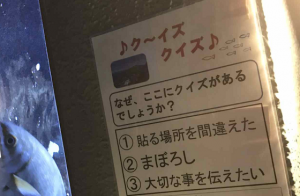 【水族館の目立たない貼り紙】なぜ、ここにクイズがあるでしょうか？