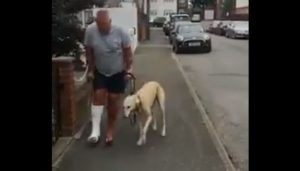 愛犬の歩き方がおかしくなったからレントゲンを撮った結果が優しさにあふれていた...