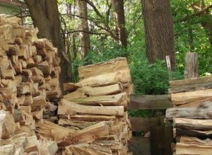 【猫を探せ】「ネコがどこかに隠れているよ」という画像の中の猫が見つからない...