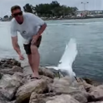釣り糸にからまったサギを助けようとする男性と偶然通りかかった撮影者の行動が素晴らしい！！
