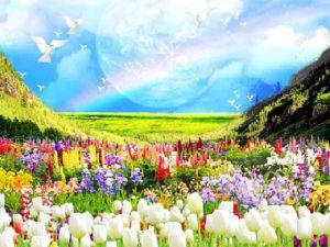 故人を思い浮かべると天国にいるその人の周りに...